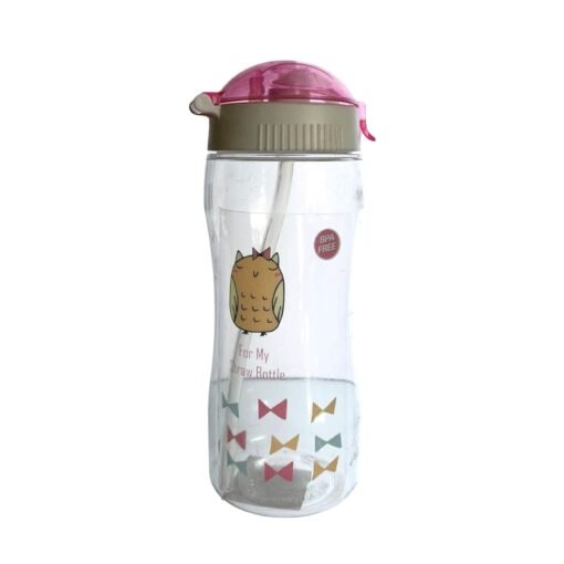 Koolish Bottle 450ml w/straw